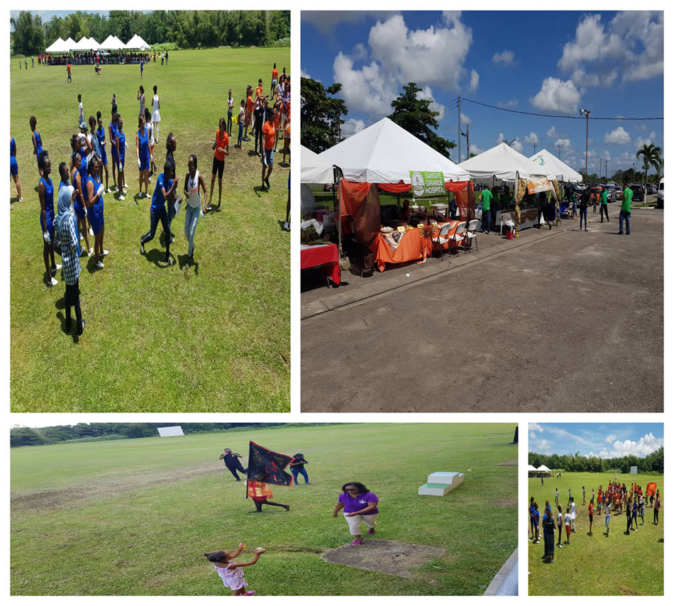 ERHA Sports Day 2018 Collage